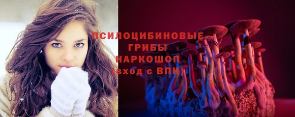 эйфоретик Алзамай