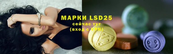 эйфоретик Алзамай