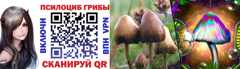 мориарти как зайти  Бабаево  Галлюциногенные грибы MAGIC MUSHROOMS 