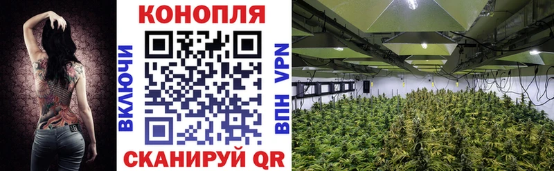 Шишки марихуана Ganja Бабаево